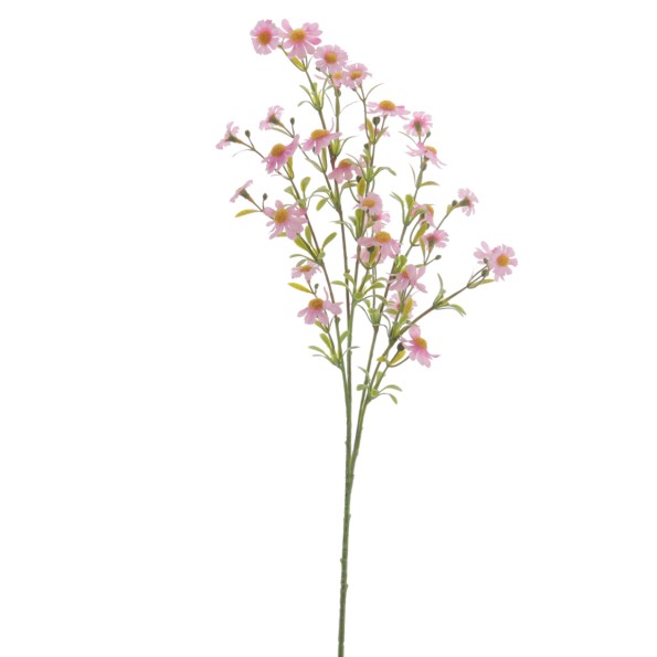 MARGARITA MINI 68 CMS (4844-12)