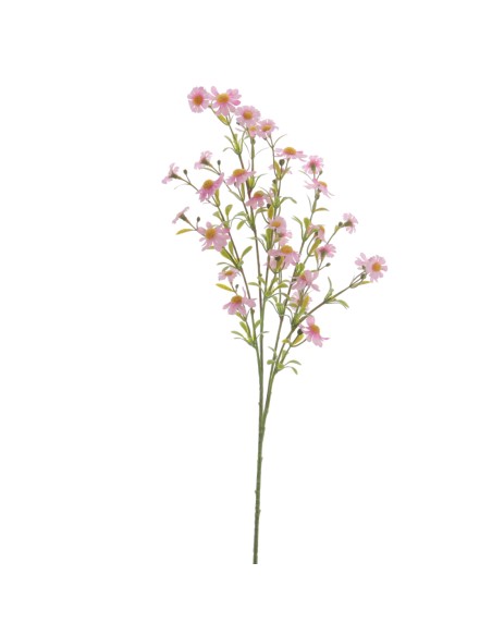 MARGARITA MINI 68 CMS (4844-12)