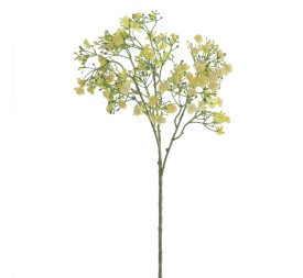 GYPSOPHILA (6120-02)