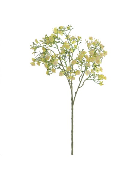 GYPSOPHILA (6120-02)
