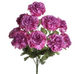 RAMO CLAVEL BUGANVILLA