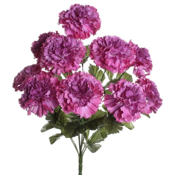 RAMO CLAVEL BUGANVILLA