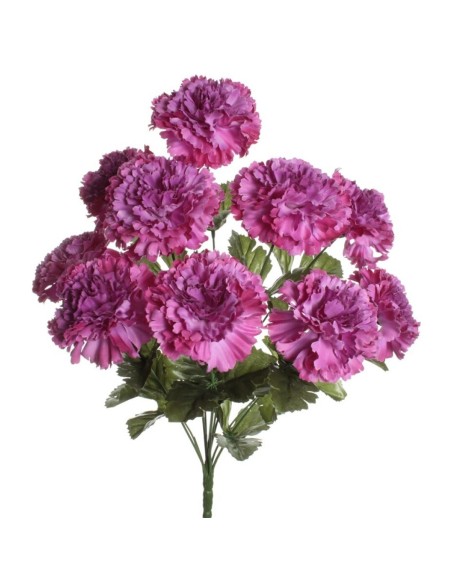 RAMO CLAVEL BUGANVILLA