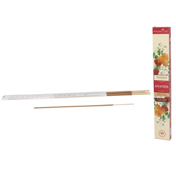 INCIENSO 9 STICKS 50G ANANDA