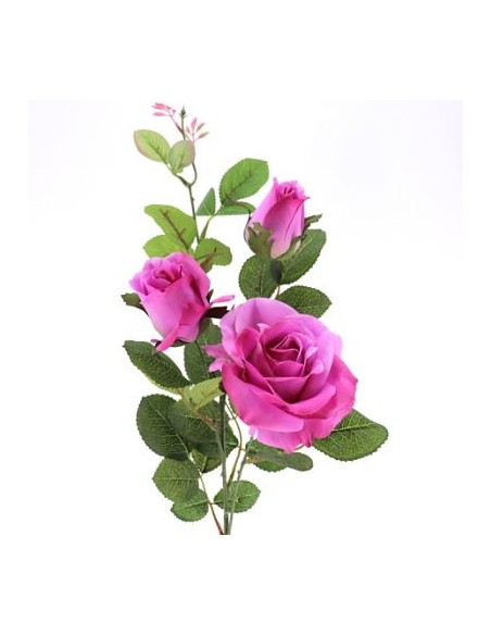 ROSA X 3 EVER BLOOM (9522-25)