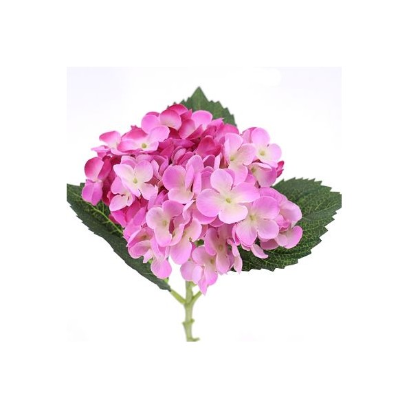 HYDRANGEA (9523-25)