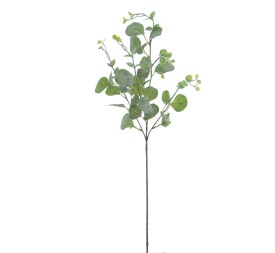 EUCALIPTUS 72 CMS (2070-09)