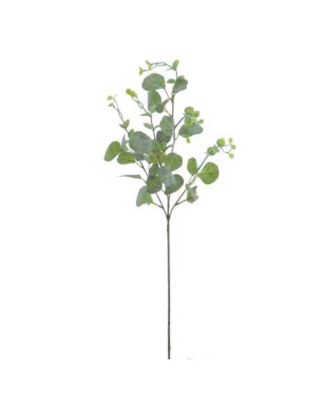 EUCALIPTUS 72 CMS (2070-09)