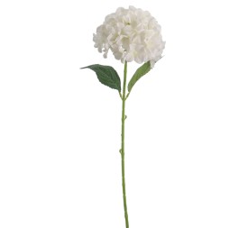 HYDRANGEA 66 CMS (2074-01)