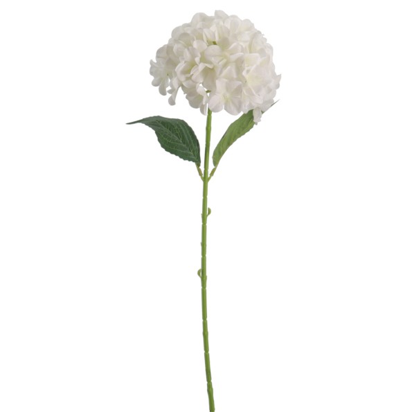 HYDRANGEA 66 CMS (2074-01)