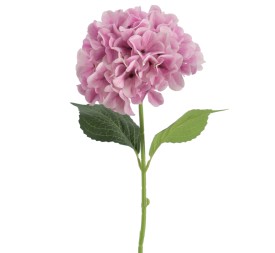 HYDRANGEA 66 CMS (2074-06)