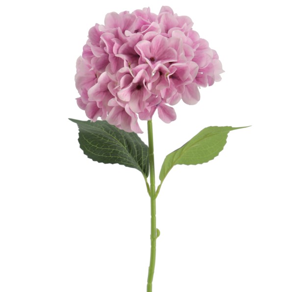 HYDRANGEA 66 CMS (2074-06)