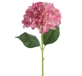 HYDRANGEA 66 CMS (2074-07)
