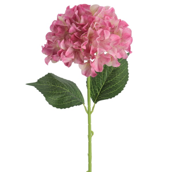 HYDRANGEA 66 CMS (2074-07)