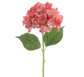 HYDRANGEA 66 CMS (2074-14)