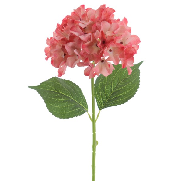HYDRANGEA 66 CMS (2074-14)