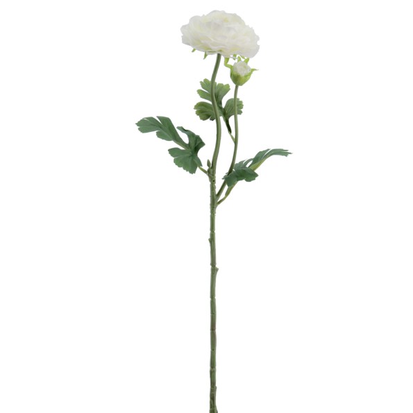 RANUNCULUS 60 CMS (2081-01)