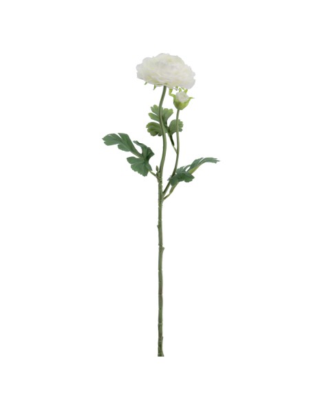 RANUNCULUS 60 CMS (2081-01)