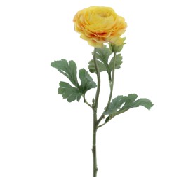 RANUNCULUS 60 CMS (2081-02)