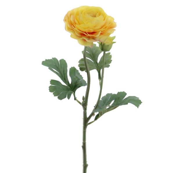 RANUNCULUS 60 CMS (2081-02)