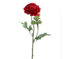 RANUNCULUS 60 CMS (2081-08)