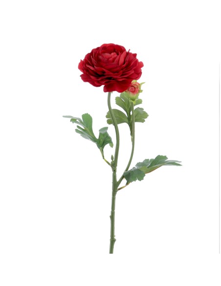 RANUNCULUS 60 CMS (2081-08)