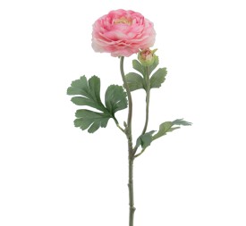 RANUNCULUS 60 CMS (2081-12)