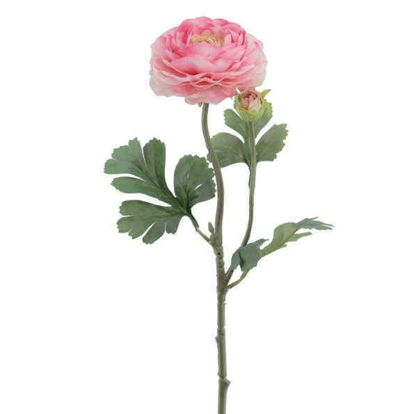 RANUNCULUS 60 CMS (2081-12)