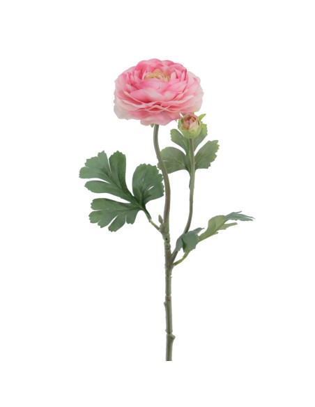 RANUNCULUS 60 CMS (2081-12)