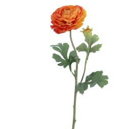 RANUNCULUS 60 CMS (2081-15)