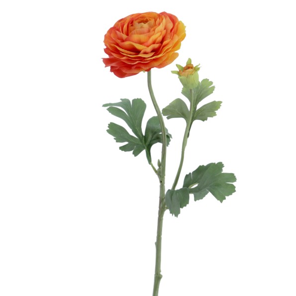 RANUNCULUS 60 CMS (2081-15)