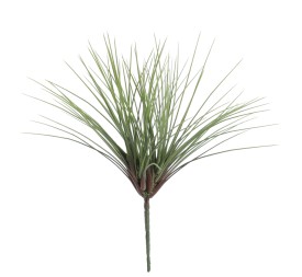CYPERUS 36 CMS (6339-09)