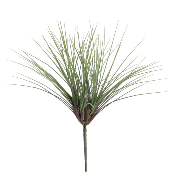 CYPERUS 36 CMS (6339-09)