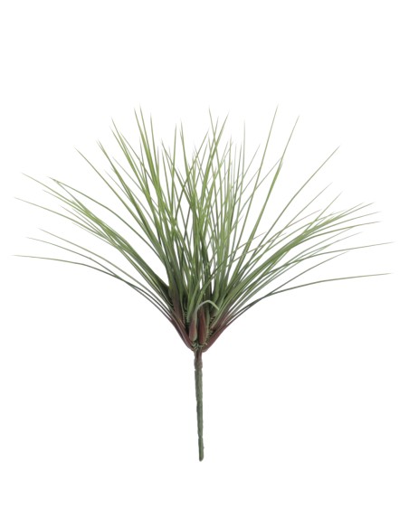 CYPERUS 36 CMS (6339-09)
