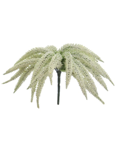 RAMO ERICA 29 CMS (6340-01)