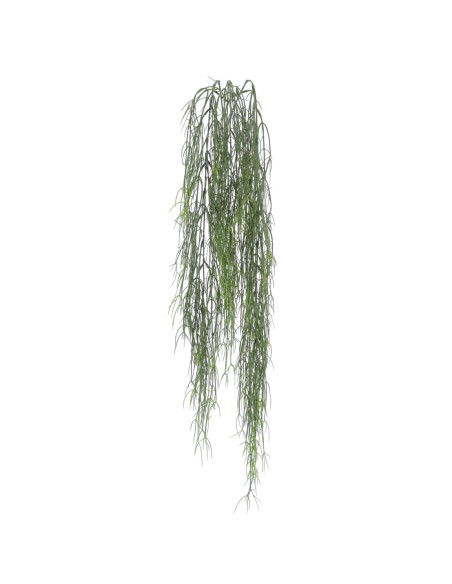COLGANTE TILLANDSIA 90 CMS (2484-09)