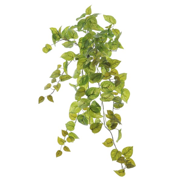 COLGANTE POTHOS X 144 HOJAS  71 CM (4020-09)