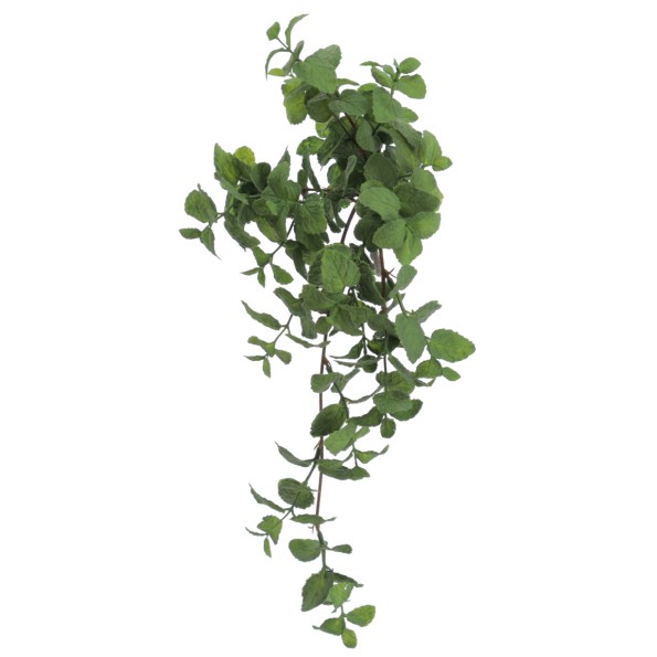 COLGANTE MENTA 42 CMS (6320-09)