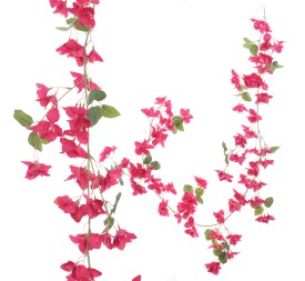 GUIRNALDA BOUGANVILLEA 180 CMS (6401-07)