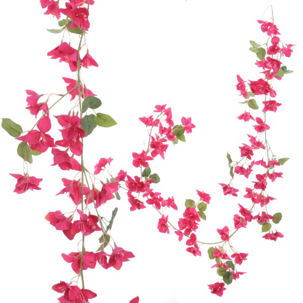 GUIRNALDA BOUGANVILLEA 180 CMS (6401-07)