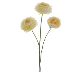 RANUNCULUS 64 CMS (1441-02)