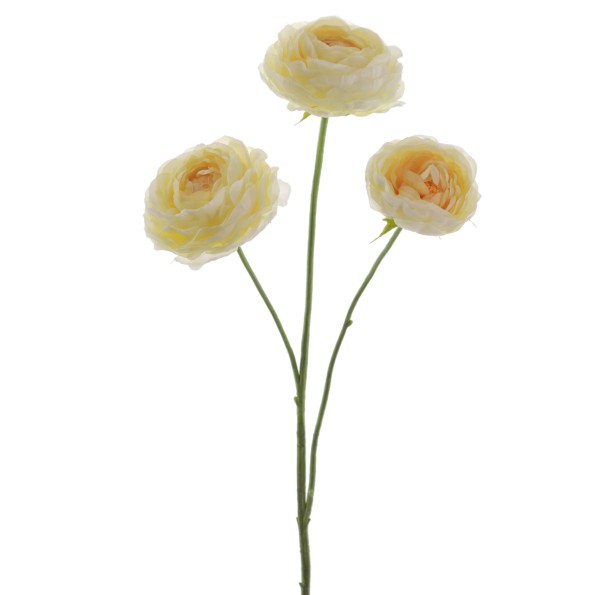 RANUNCULUS 64 CMS (1441-02)