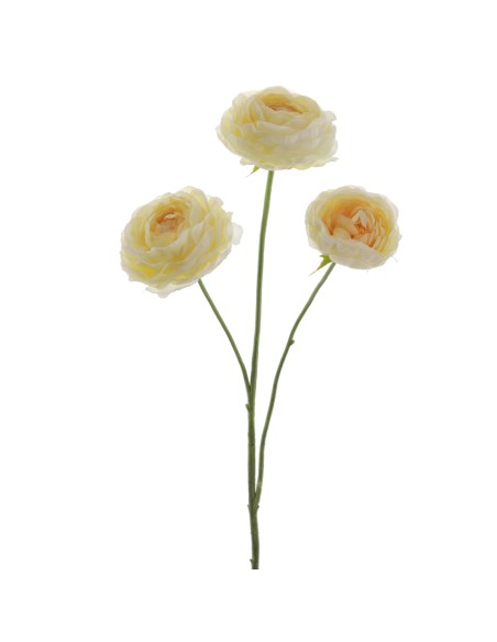 RANUNCULUS 64 CMS (1441-02)