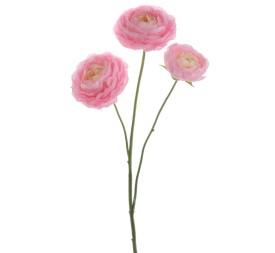 RANUNCULUS 64 CMS (1441-12)
