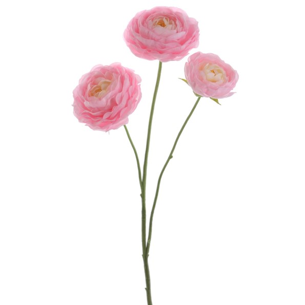 RANUNCULUS 64 CMS (1441-12)