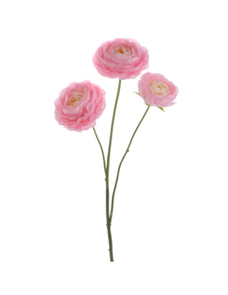 RANUNCULUS 64 CMS (1441-12)
