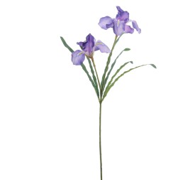 IRIS 54 CMS (4765-10)