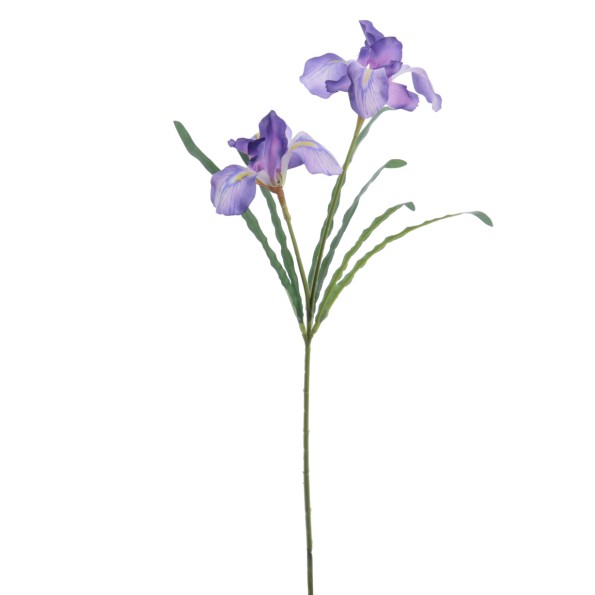IRIS 54 CMS (4765-10)