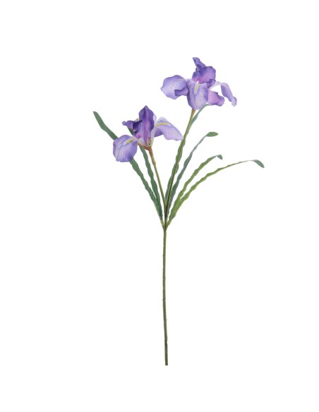 IRIS 54 CMS (4765-10)