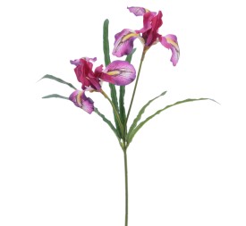 IRIS 54 CMS (4765-16)